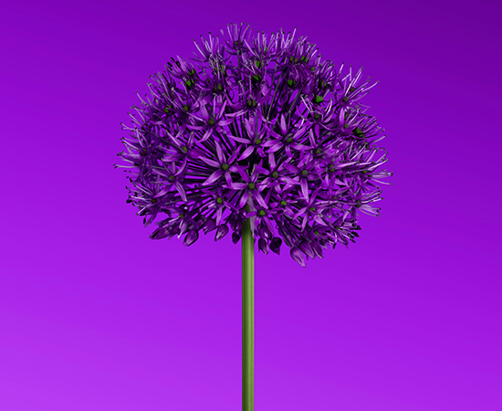 Creative project visual